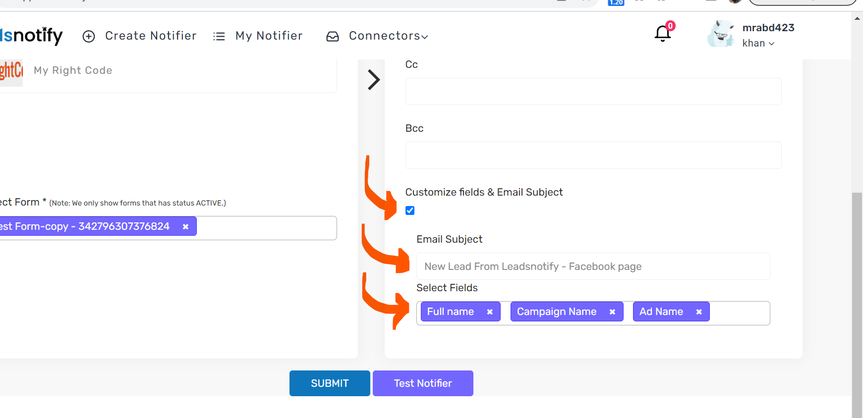 Customizable options in LeadsNotify: Facebook Instant Form fields and email subject settings, with a reference screenshot.