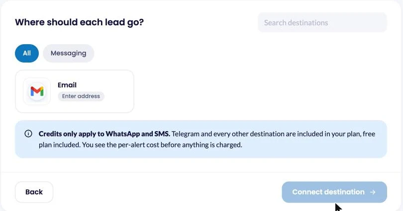 Email selected as the destination for TikTok leads in LeadsNotify